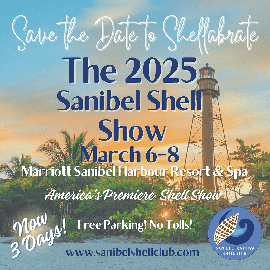 2025 Sanibel Shell Show SanibelCaptiva Shell Club