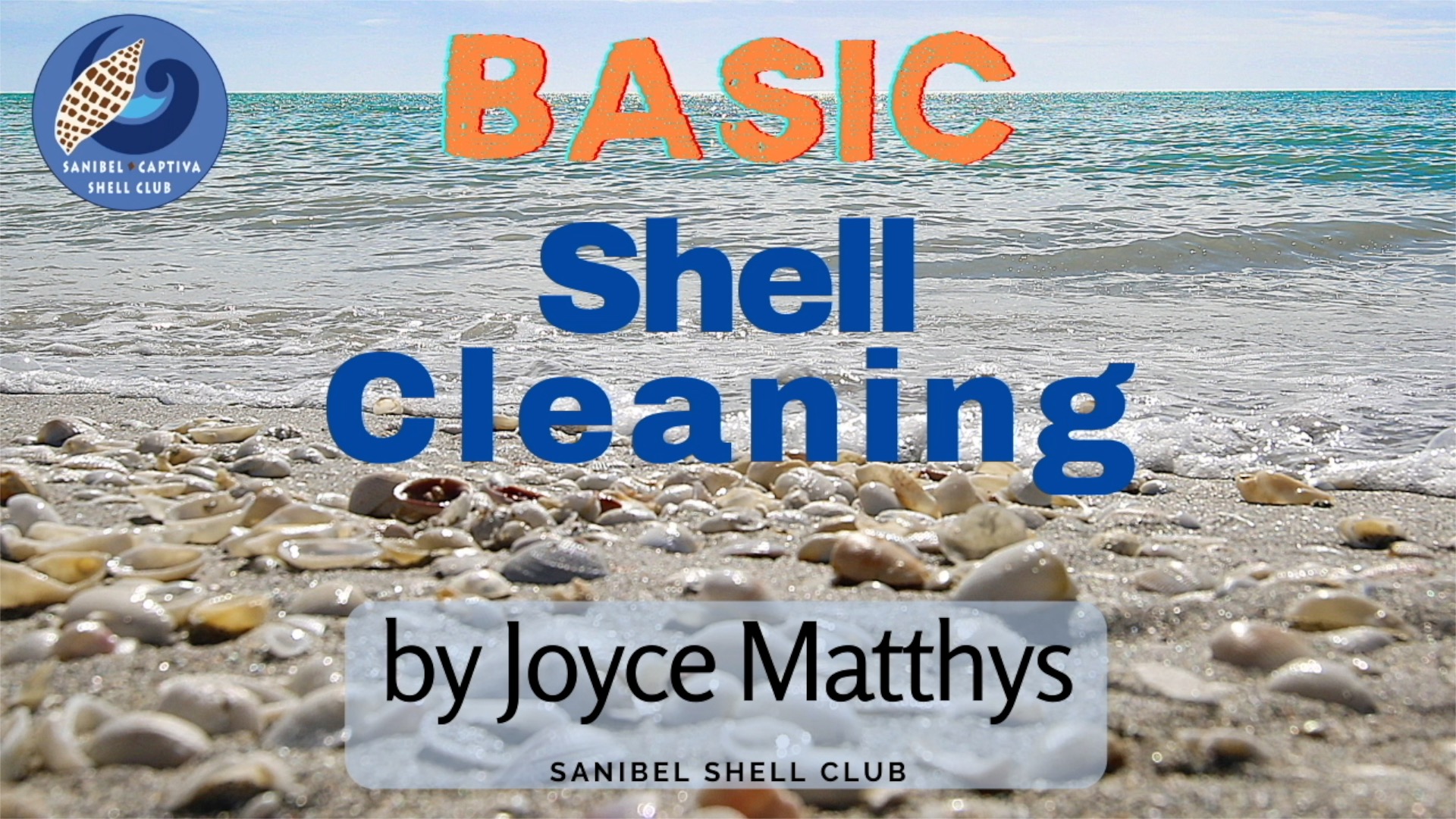 Cleaning Shells by Joyce Matthys - Sanibel-Captiva Shell Club