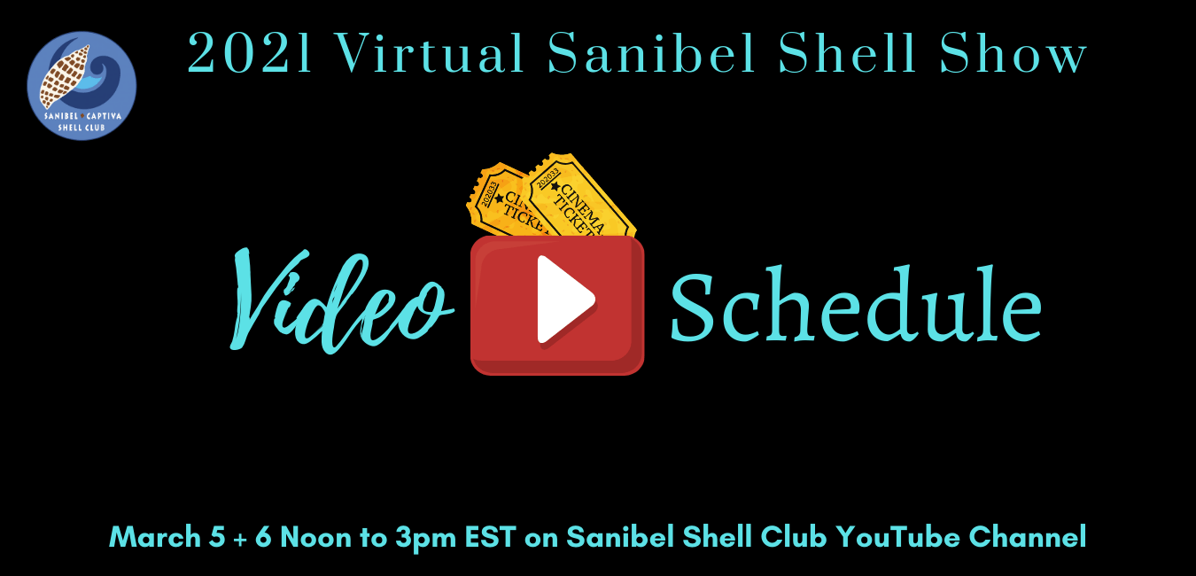 Video Schedule for Virtual Shell Show - Sanibel-Captiva Shell Club