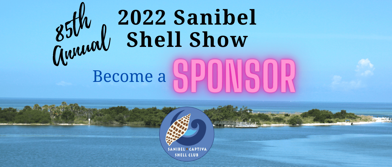 Shell Shocked: When 'mid-terms' had another meaning  News, Sports, Jobs -  SANIBEL-CAPTIVA - Island Reporter, Islander and Current